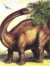 world-wildlife-adventures: Ancient Animals Dinosaurus