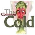 Diary of a NJ Chiropractor: Fighting colds naturally - Dr ...