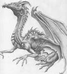 Dragon Sketches - Dragon Artwork