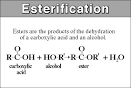 Esters | beer sensory science