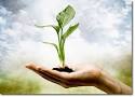 Home - Discover Holistic Healing To Live A Healthier Life
