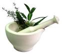 Soham Wellness Place - Home