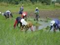 Philippines: The Remoteness of Real Land Reform « Frontlines of ...