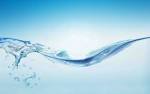 The Importance of Water | Wilderness Survival Techniques