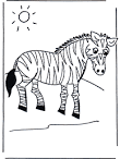 Little <b>zebra</b> - Animals