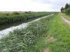 TF3315 : South Holland Main - via Daymix