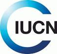 IUCN lists three additional bird species as “critically endangered ...
