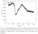 Photon Ultra Weak Photon Emission