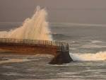 jolla seals beaches waves - via Daymix