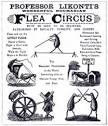 Dressed Fleas and Flea Circus are Not Necessarily for the Dogs