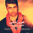 Amir Zamani - 2 New Tracks.jpg