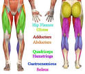 Legs and Butt Exercises - Information and Video Best Lower Body ...