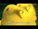 burkmondo - YouTube