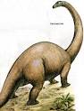 Cetiosaurus « Wonjae's Blog