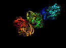 GEN | News Highlights: Scientists Develop Dual-Function Protein ... 
