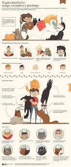 Tu gato: amigo, curandero y psicólogo #infografia #infogtraphic ... - gato