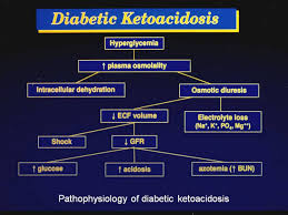  Diabetic ketoacidosis pathophysiology   could possibly be the cause of dying