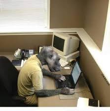 images?q=tbn:ANd9GcSyl1S-J3QQtkiGLEdJ_cJqkdHbouCARWHCraK_nc5WKtDNwn9ZuA&t=1