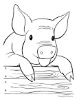 Pig coloring page