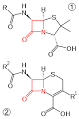 Beta-lactamase - Wikipedia, the free encyclopedia