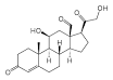 <b>Aldosterone</b>