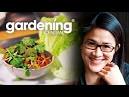 Kylie Kwong Recipe - Sung Choi