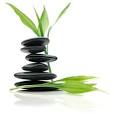 Alternative Counseling     EFT Life Coaching Holistic Healing San