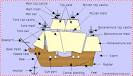 explorer christopher columbus