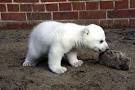 Berlin Zoological Garden, Germany - The most beautiful Zoos in Europe