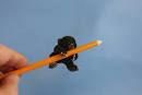 Palu ~ Malayan Sun Bear Cub ~ on ebay :o) / Teddy Bears & Pals ...