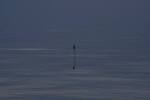 File Fishing buoy in sea state zero K  ge bay 2009 06 30 original