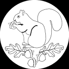 Squirrel coloring page