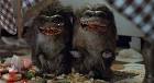 The Day Hollywood Stood Still: Critters: eating film stars before ...