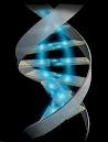 bioinformatics.
