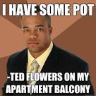 Successful Black Man - i have some pot ted flowers on my apartm.. Rating: 0 - fmz