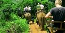 Thailand Medical Tourism Medical Tourism Thailand