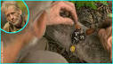 Bob's Brilliant Fake Immunity Idol
