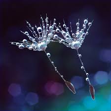 images?q=tbn:ANd9GcT-Re5QClj3rNG2m27BHbZB785jGRC8VbkQOm2Yo34UcjAR9Yfx