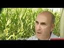 SPIEGEL TV - Bei Monsanto Im