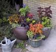 Container Gardens