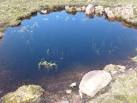 Ecosystem in an impact crater - via Daymix