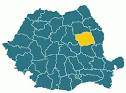 Ceva despre Bacău… « Prea târziu te-am iubit…