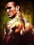 http://images5.fanpop.com/image/photos/25700000/randyorton-randy-orton-25779689-768-1024.jpg