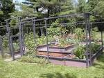 Small Space Vegetable Gardening