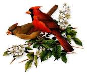 http://t2.gstatic.com/images?q=tbn:ANd9GcT0-29fMzCbxuKTfRTs1_T8NlGzN8lYsLA8lbivNm3ylnnxxY3Zb9soFX0h