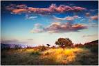 The Memory of trees part 3 by `werol on deviantART