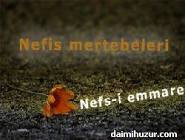 NEFS İNSANI NEYE SEVK EDER?