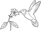 Bird coloring page