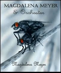 Magdalena Meyer \u0026amp; Orchester | MyOwnMusic