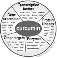 Consumer's Guide to Curcumin &amp; Turmeric (Tumeric, Curcuma Longa ...